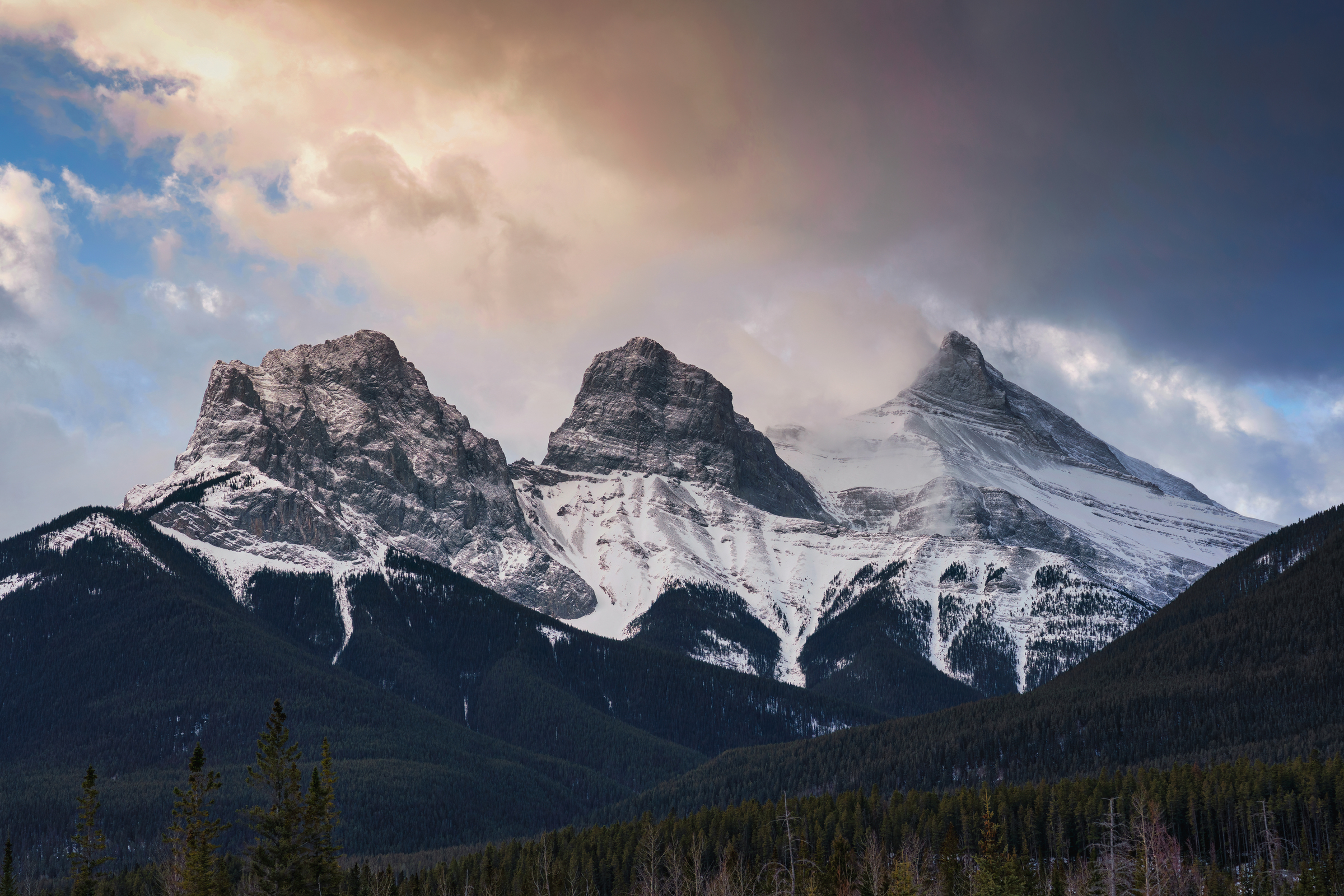 Forest and cabins near Canmore